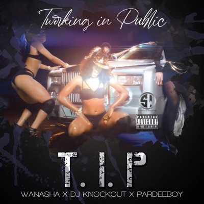 Twerking In Public (feat. PARDEEBOY & DJKNOCKOUT) - Single