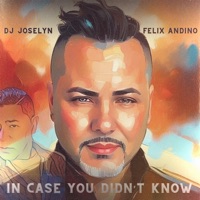 In Case You Didn't Know - Single - Felix Andino & Dj Joselyn