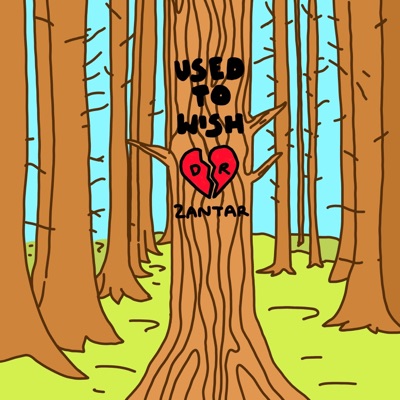 Used to Wish - Single
