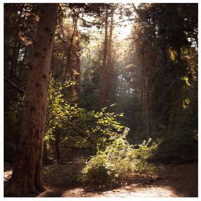 Out There (Original Sound Track) - Single