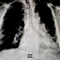 Black Lungs - Single - cato