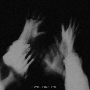 I will find you - Single