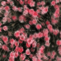 Love, Be Quiet - Single - Marlin Ben & Holem