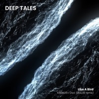 Like a Bird (GRAZZE Remix) - Single - KAMADEV & GRAZZE