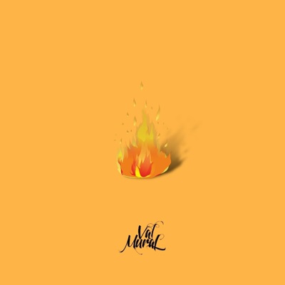 Playing With Fire - Single