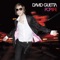 Never Take Away My Freedom - David Guetta & Chris Willis lyrics