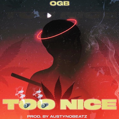 Too Nice - Single