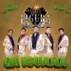 La Nueva Figura de Guerrero - La Iguana