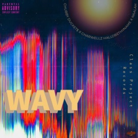 Wavy (feat. Naalah, Chubby Ducket$, Hallobethyname & Charwellz) Class Project
