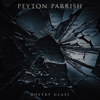 Peyton Parrish - Poetry Glass artwork
