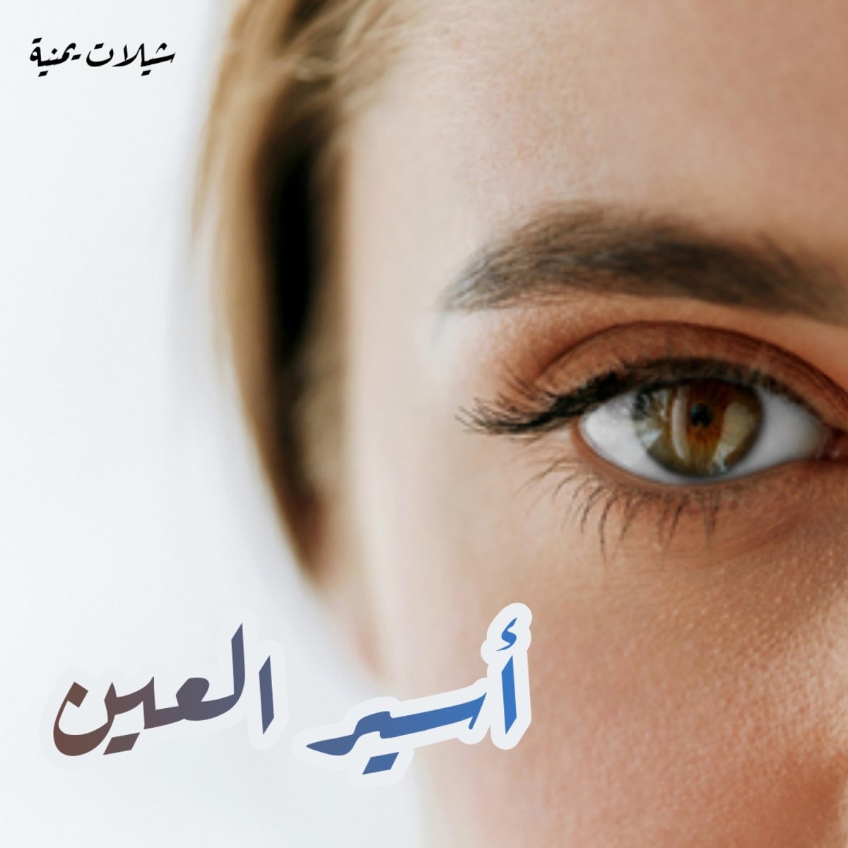 شيلة حبيبي لاتعذبني اسير العين - Single - Album by شيلات يمنية - Apple Music