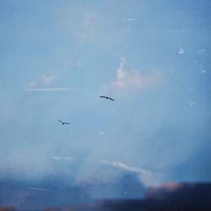 The Shape of Birds - EP