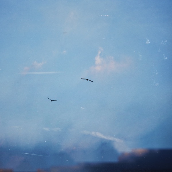 The Shape of Birds - EP