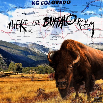 Where the Buffalo Roam - Single