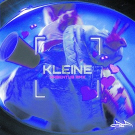 KLEINE SLAYAR