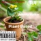 Plant Based - Johnny Walker lyrics