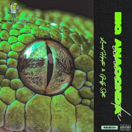 Big Anaconda Lucid Hipster & Gully Seth