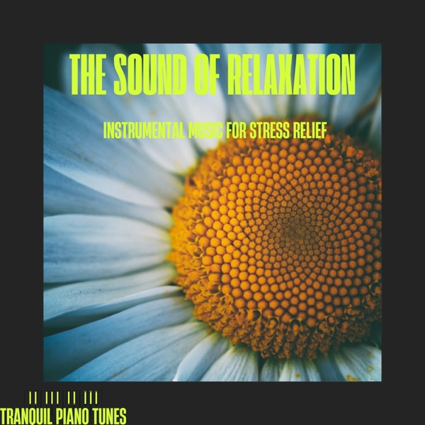 The Sound of Relaxation: Instrumental Music for Stress Relief