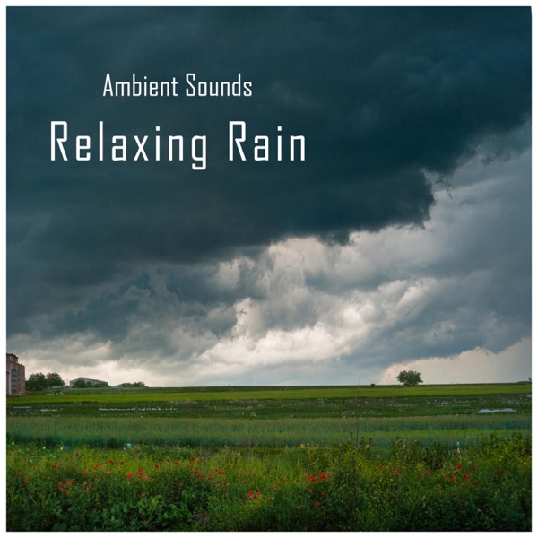 Ambient Sounds: Relaxing Rain