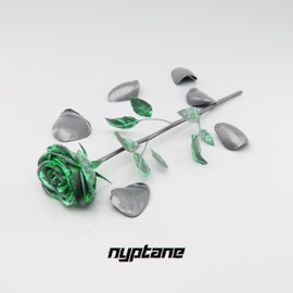 Disenchanted Nyptane