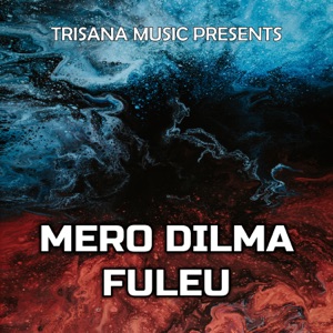 Mero Dilma Fuleu - Single