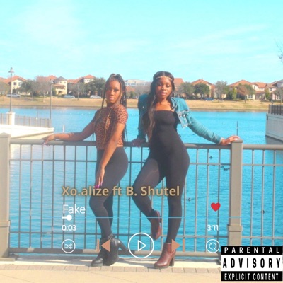 Fake (feat. Brittany Shutel) - Single