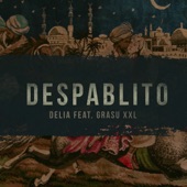 Despablito (feat. Grasu XXL) artwork