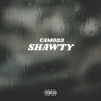 Shawty - Single