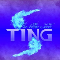 Ting (Jam down Riddim) (feat. Jo Jo) - Single - The Fatha