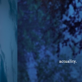 Actuality Dreweybear