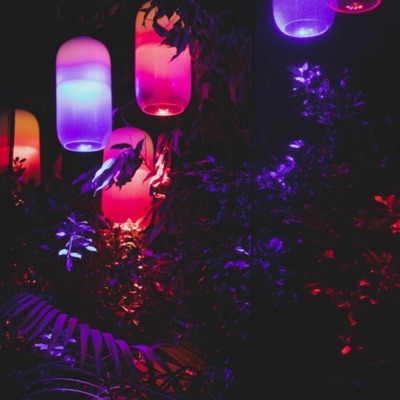 For Nobody (feat. 279tyler & Driz) - Single