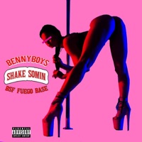 Shake Somin (feat. Fuego Base) - Single - Benny Boy Rude