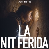 La nit ferida (feat. Pep Gimeno "Botifarra" & Ahmed Touzani) artwork