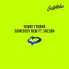 Shezar Somebody New (feat. ShezAr) Somebody New (feat. ShezAr) - Single