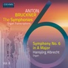 The Bruckner Symphonies, Vol. 6 - Organ Transcriptions