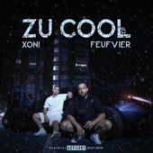 ZU COOL (feat. Feufviersln) artwork