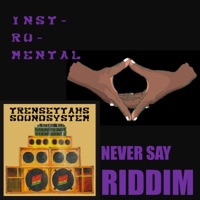Never Say (Instrumental) - Single - Trensettahs Sound System