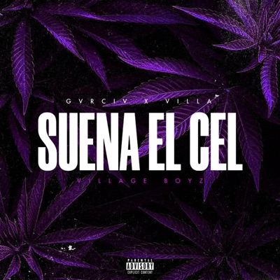 Suena el cel (feat. Villa Music) - Single