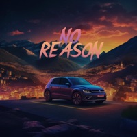 No Reason - Single - Thomas Geelens
