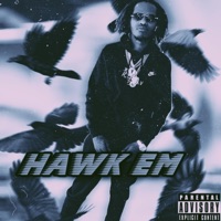Hawk Em - Single - RichVonn2xs