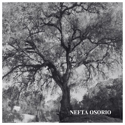 Esto viene de mis archivos EP (Demo)