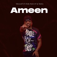 Ameen (feat. Dully Sykes & AY Masta) - Single - MwanaFA