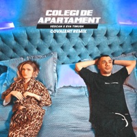 Colegi de apartament (Covalent Remix) - Single - Vescan & Ева Тимуш