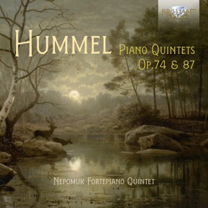 Quintet in D Minor, Op. 74: IV. Finale. Vivace