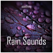 Soothing Rain Sounds artwork