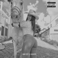 Mami Soy Tu Vaquero - Single - DJ Niar