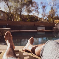 Non-Toxic - Single - Just Rich