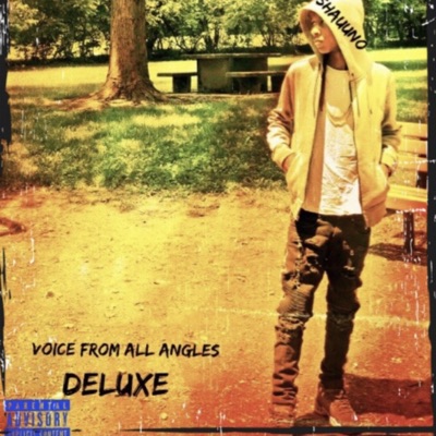 Voice From All Angles (Deluxe)