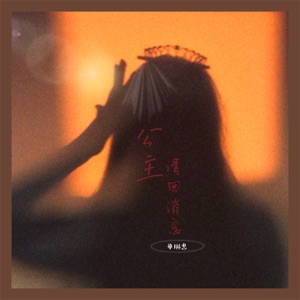 公主请回消息 - Single