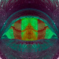 Crn - Single - Cesante